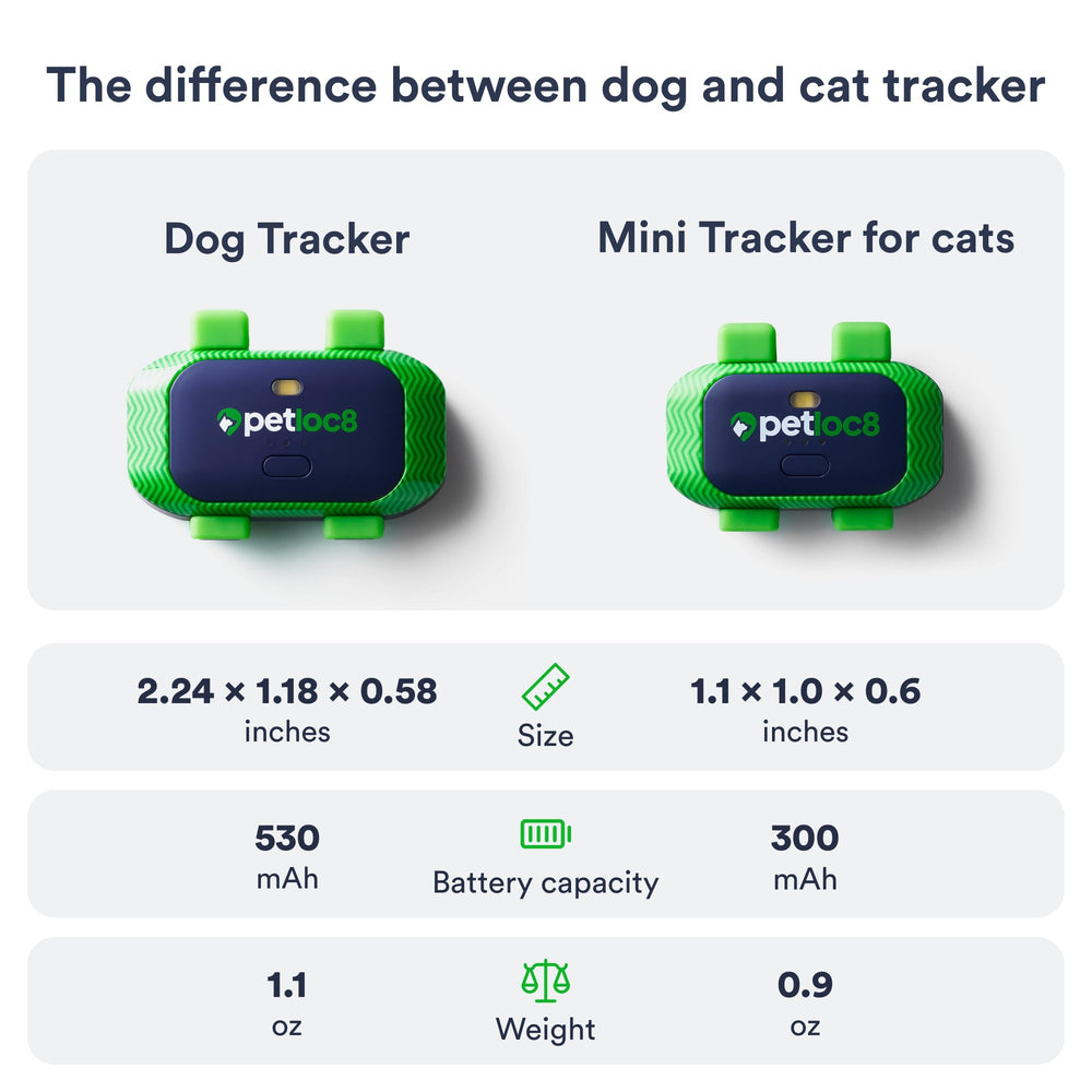 PETLOC8 built-in 4G SIM delivers real-time updates wherever you roam