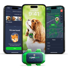 PETLOC8 dog GPS tracker on collar offers real-time location during outdoor adventures