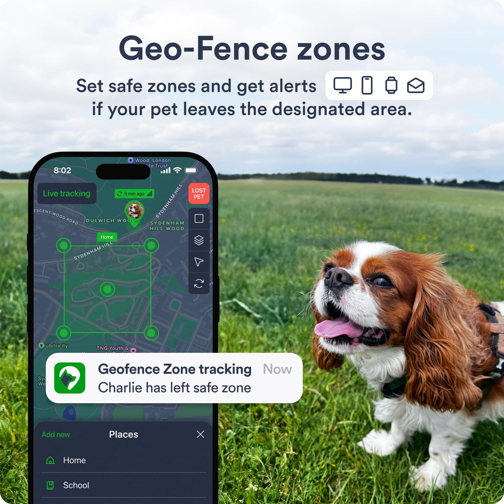 PETLOC8 geo-fence zones notify you when your dog leaves safe areas