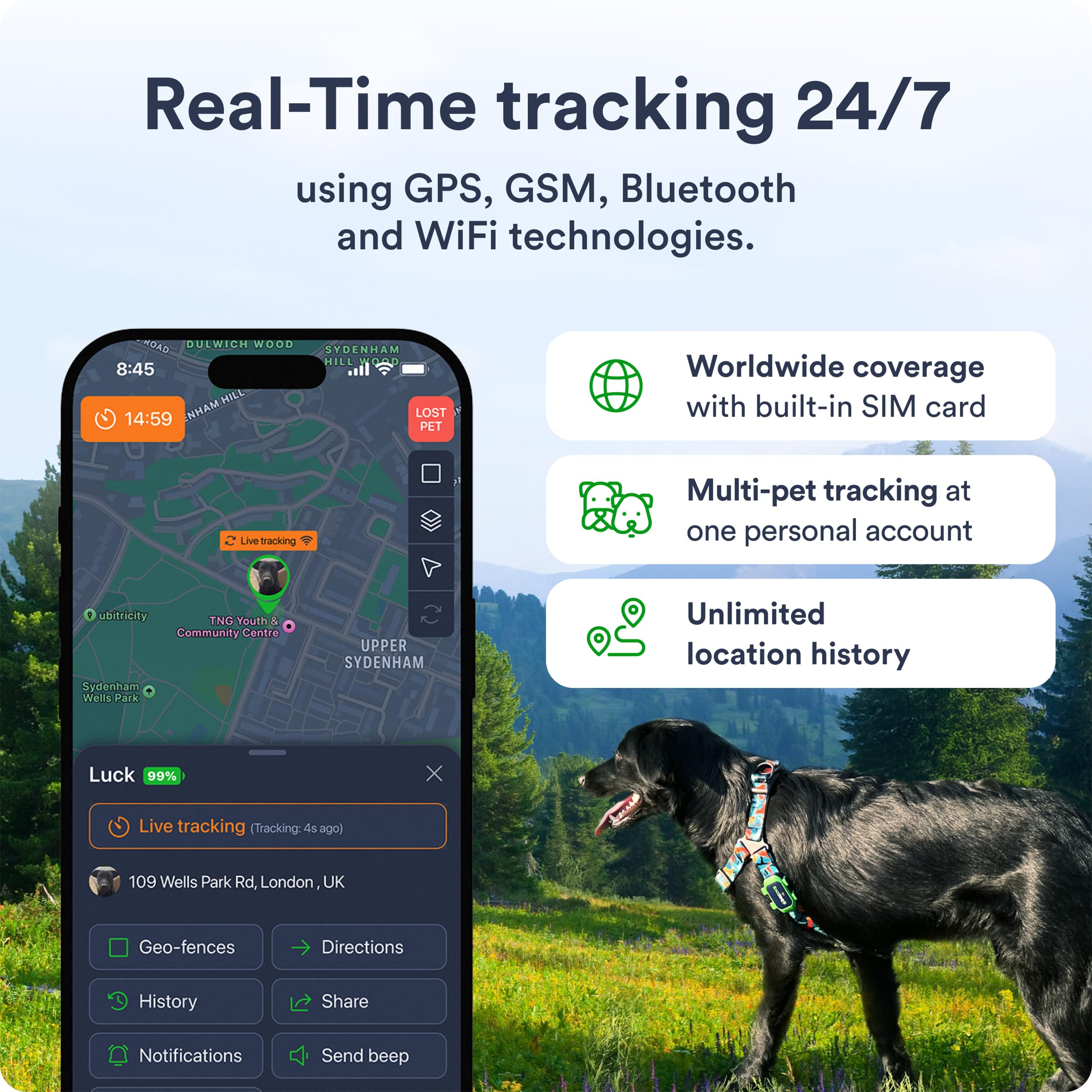 PETLOC8 real-time location alerts help you stay aware of your dog's moves