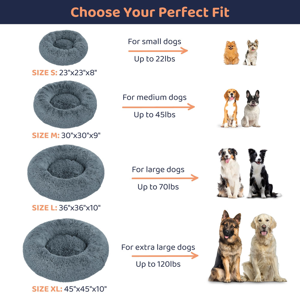 Petloox Donut Bed size M dark grey shown on a medium dog at rest.