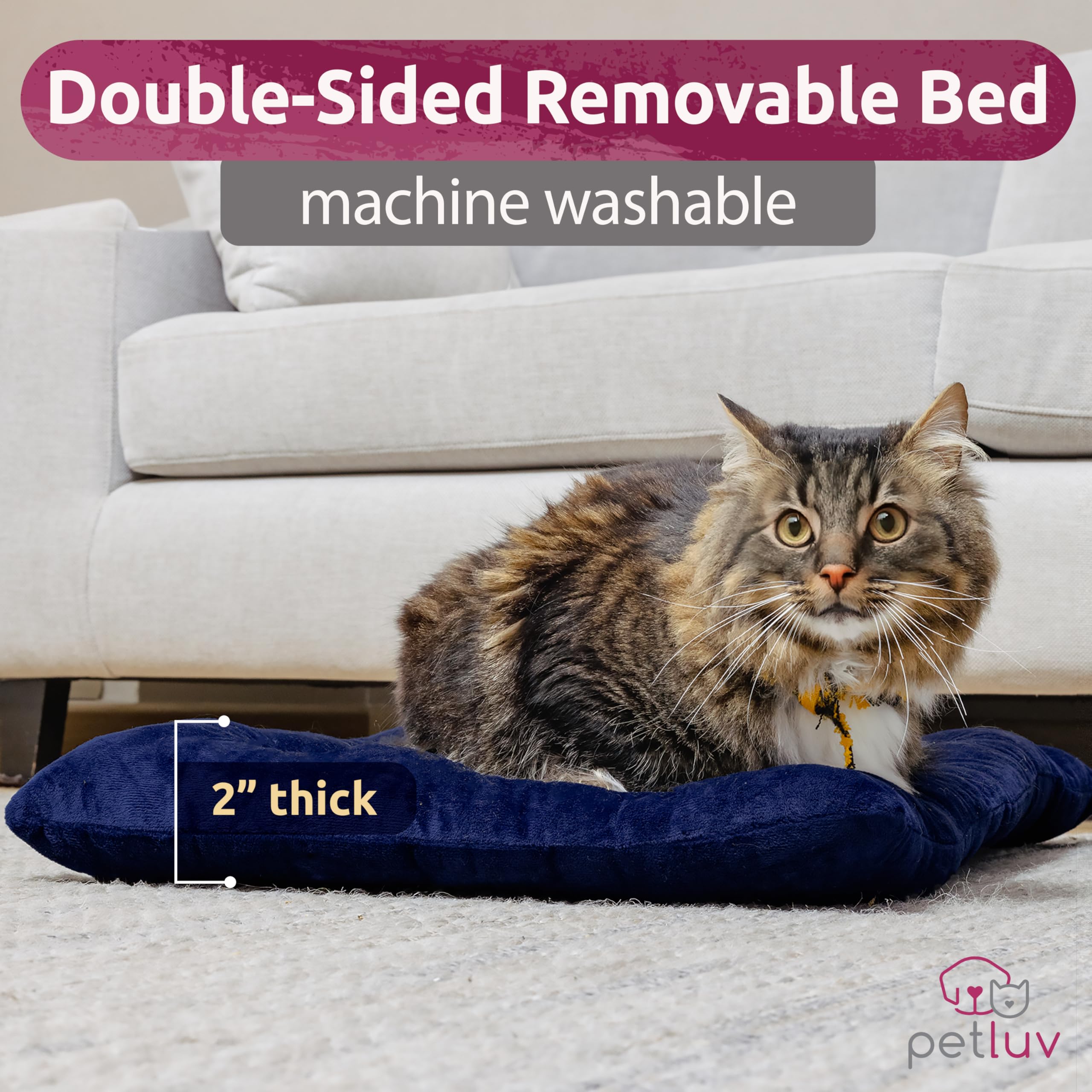 PetLuv breathable-mesh visibility ensures airflow and pet visibility.