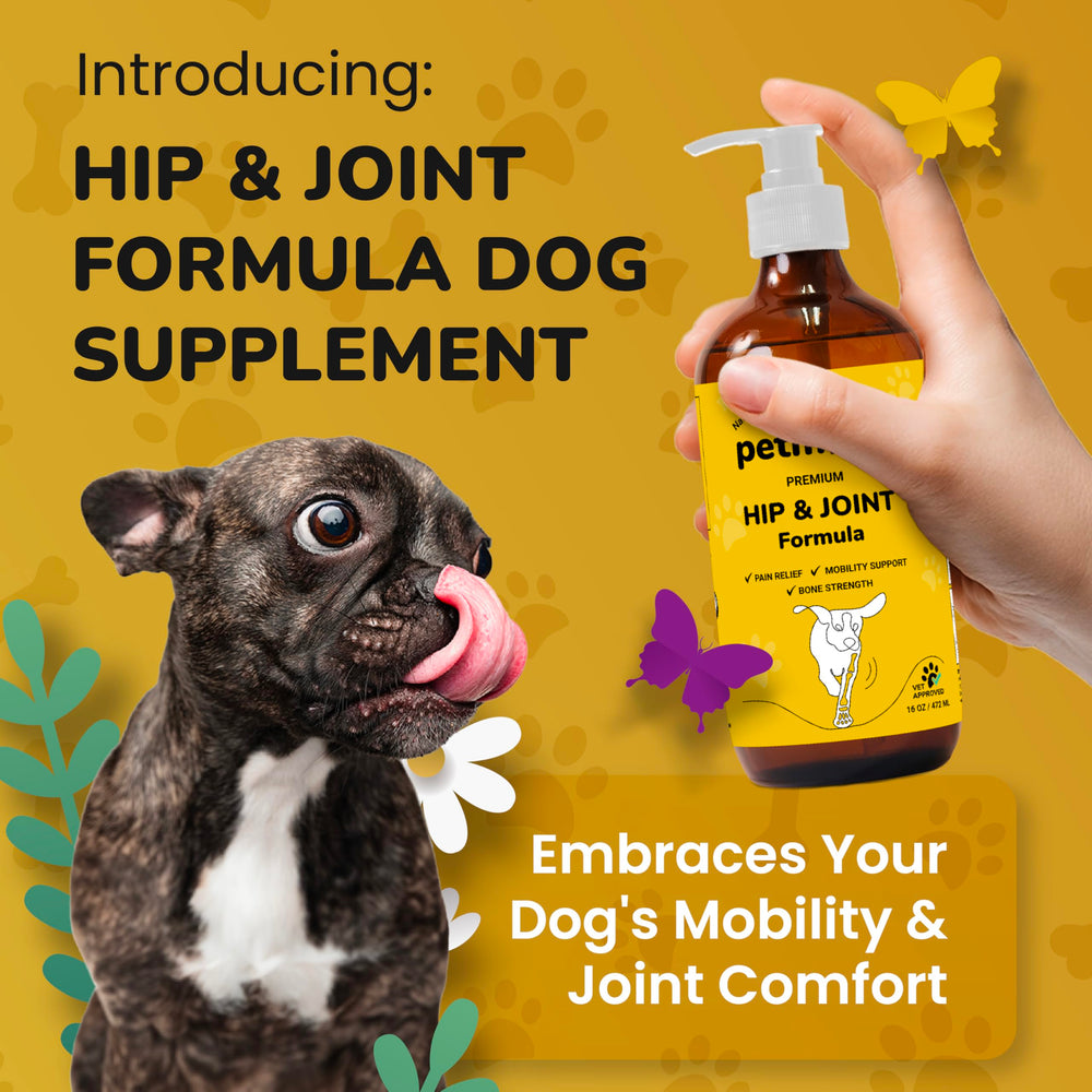 PETMADE green-lipped mussel blend supports activity and joint comfort in dogs.