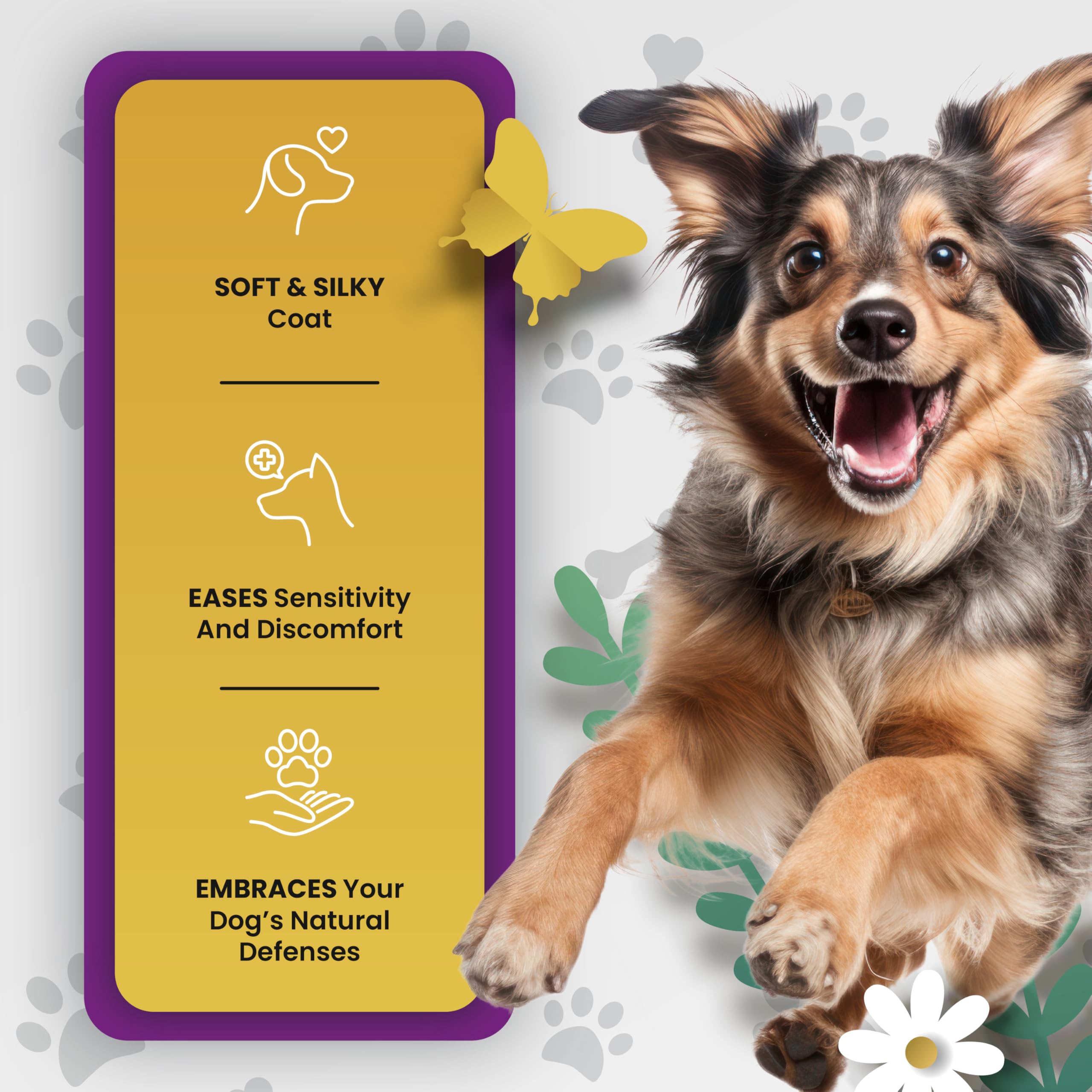 PetMade Omega3 16oz bottle for ongoing skin and coat care.