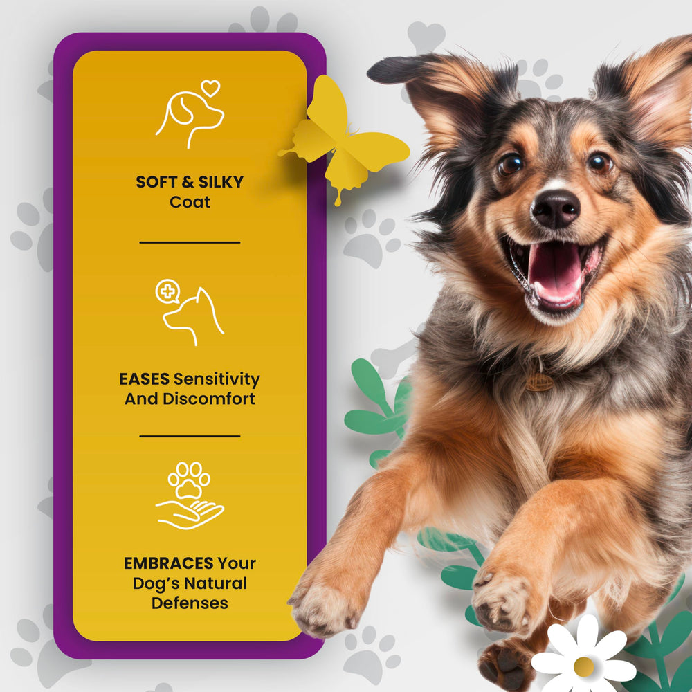 PetMade Omega3 16oz bottle for ongoing skin and coat care.