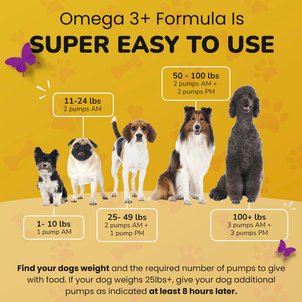 PetMade Omega3 EPA DHA close-up highlights skin and coat support.