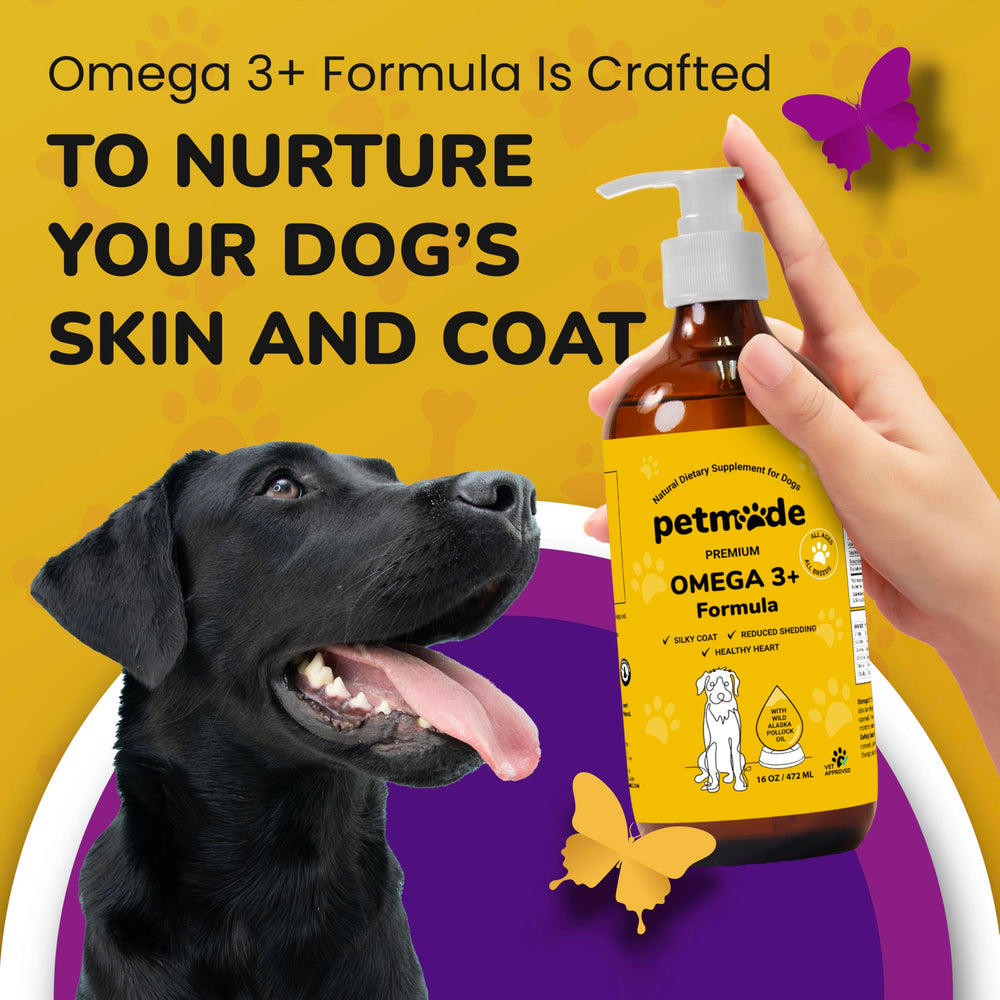 PetMade Omega3 liquid dispense shot for easy mixing into meals.