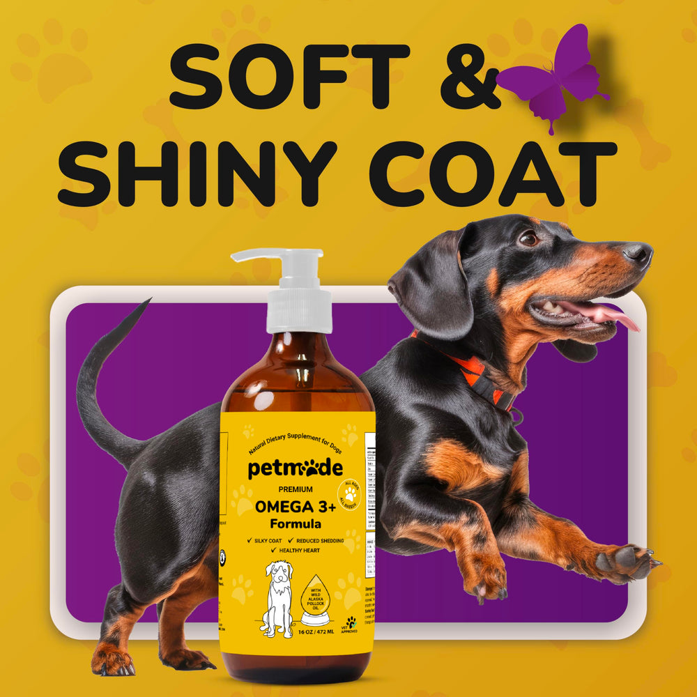 PetMade Omega3 bottle pours into dog meal for picky eaters.