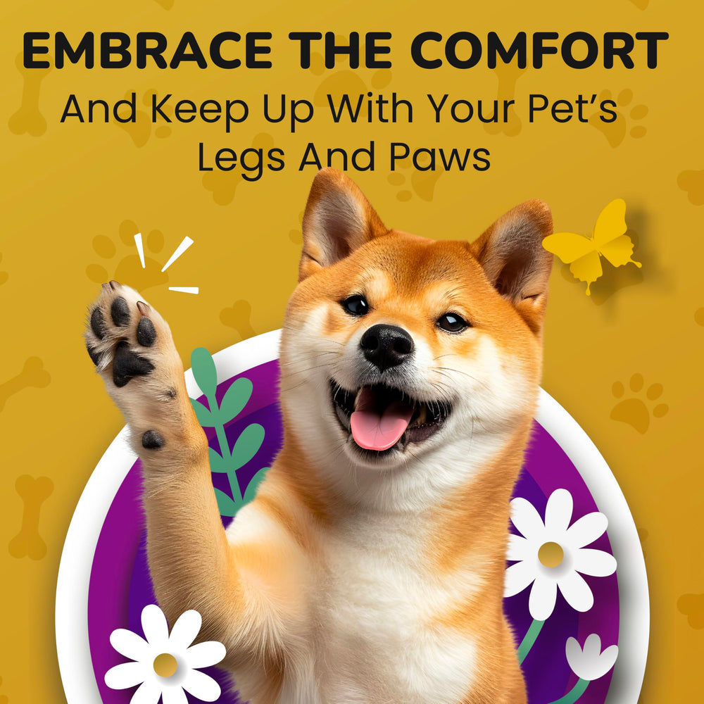 PETMADE owner-dosing in meals promotes simple daily use.