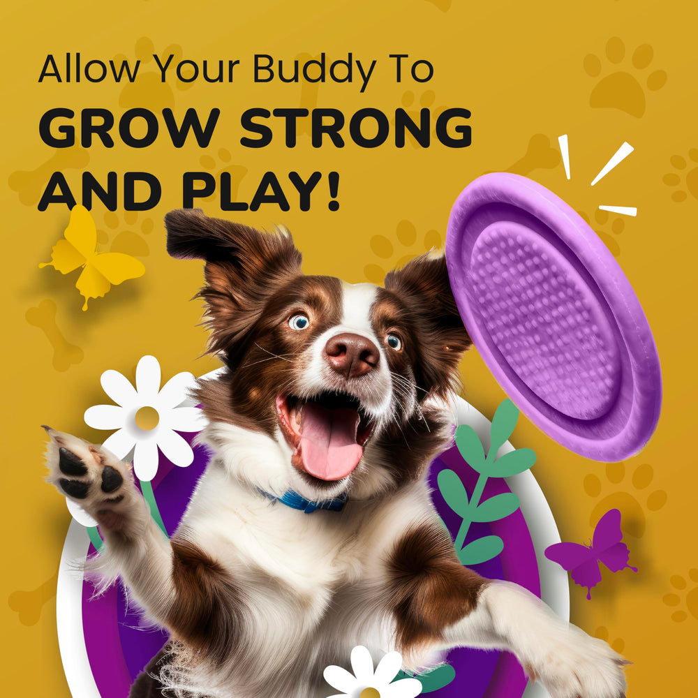 PETMADE USA-manufactured label highlights quality ingredients and domestic production.