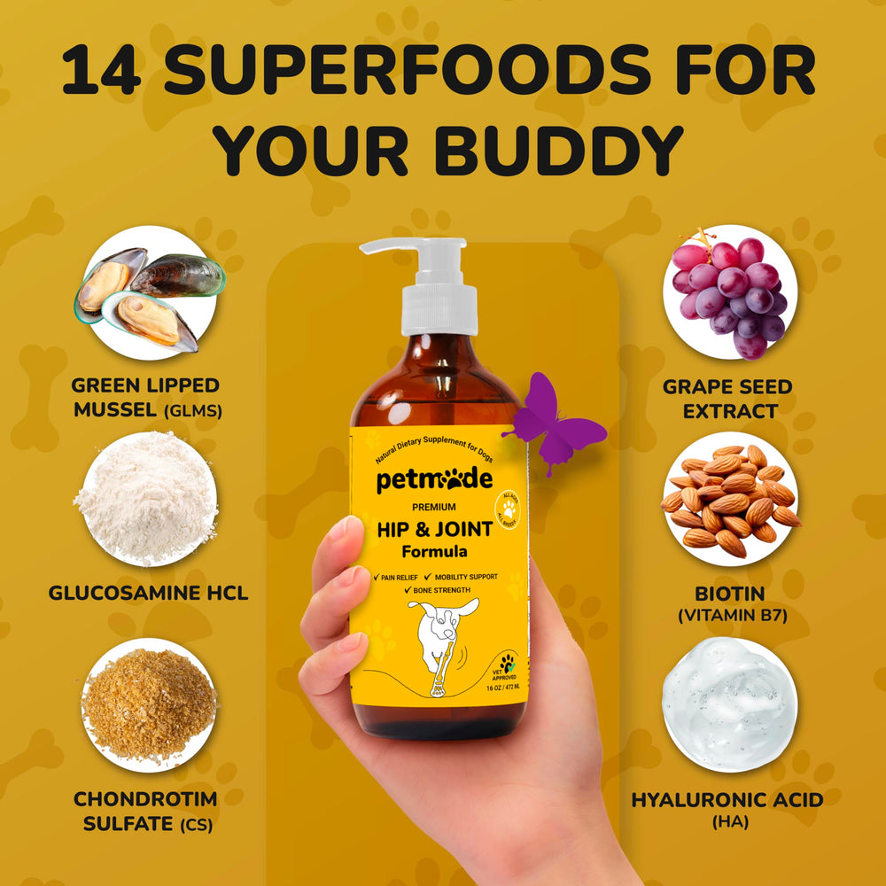 PETMADE B vitamins B12/B6/B1 support energy and overall vitality.