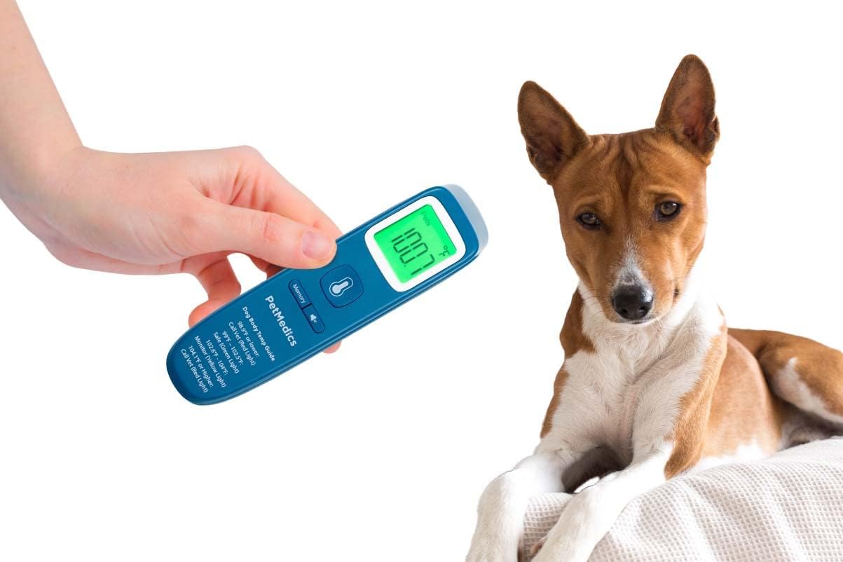 PetMedics non-contact thermometer dog-use shows quick readings for vet prep at home.