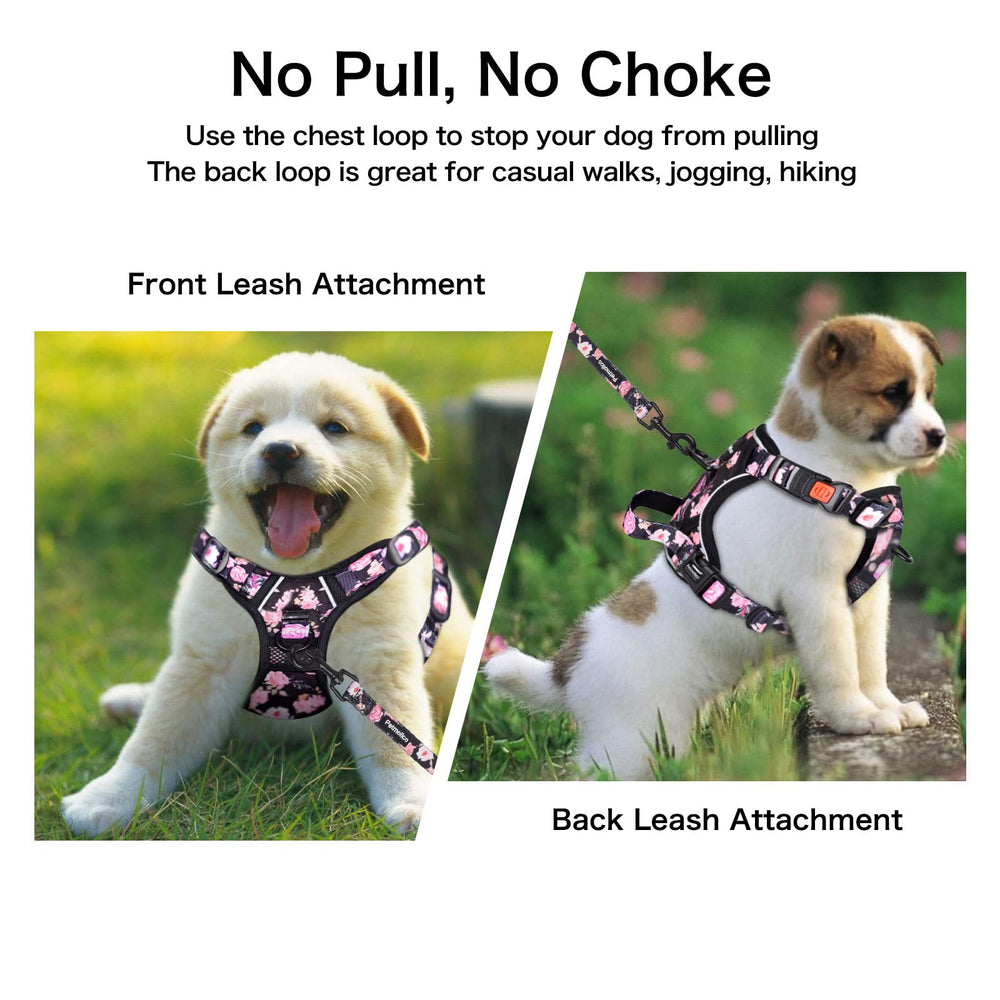 Petmolico rope leash 5ft features rotating clasp to prevent twists during walks