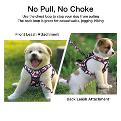 Petmolico rope leash 5ft features rotating clasp to prevent twists during walks