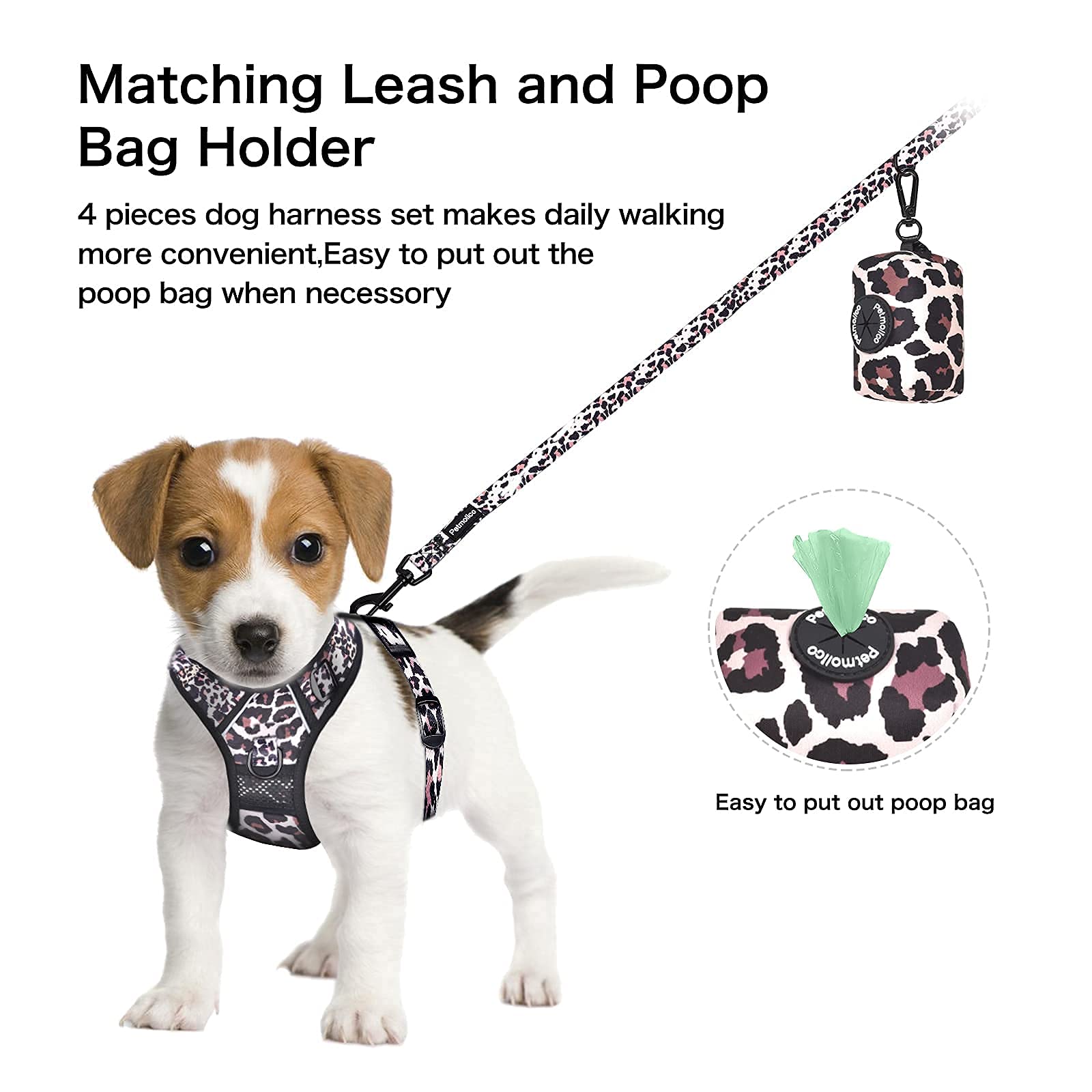 Petmolico Rope Leash Neoprene Handle highlights comfortable grip during walks.