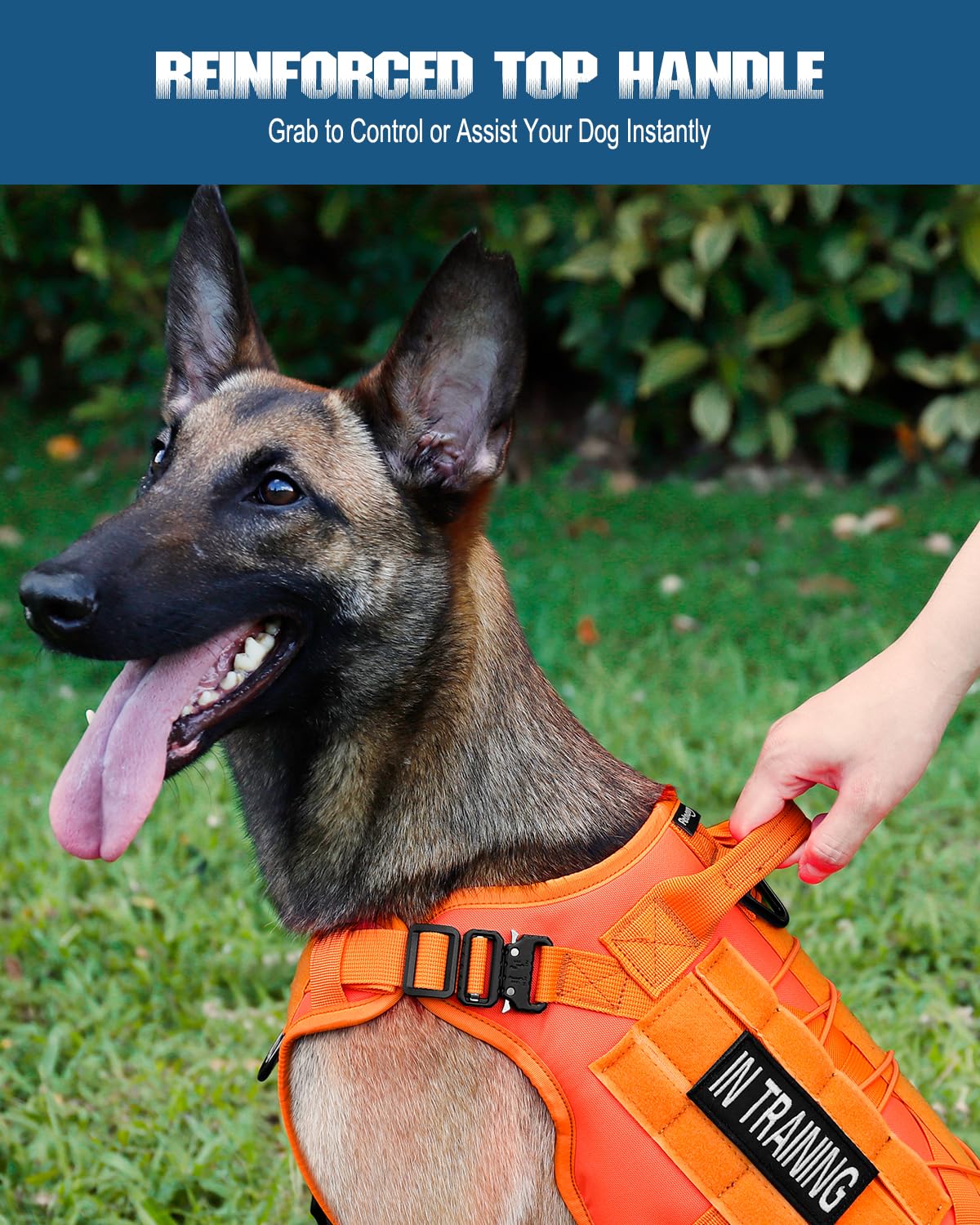 PETNANNY Tactical Vest breathable mesh keeps dogs cool on hikes