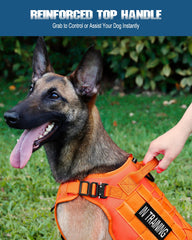 PETNANNY Tactical Vest breathable mesh keeps dogs cool on hikes