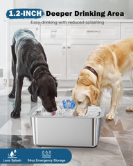 PETNF diamond-spout flow draws pets to drink more daily