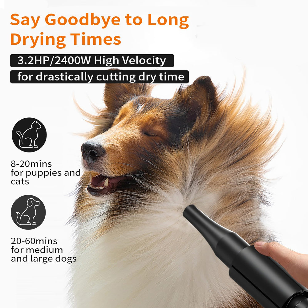 PETNF dog dryer quiet-operation highlights reduced noise for calm grooming sessions.