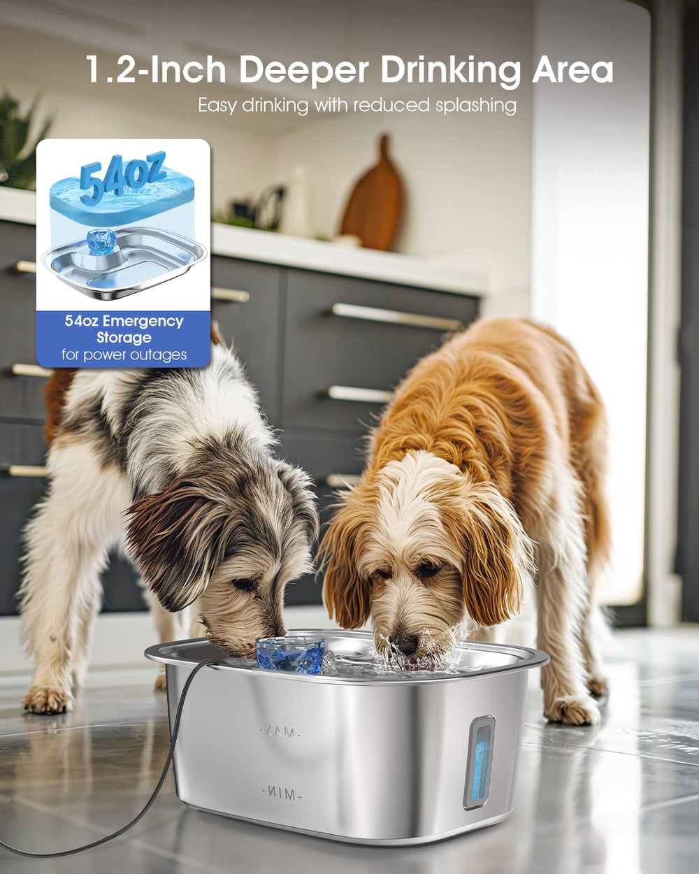 PETNF elevated seven-inch height and shallow bowl design promote comfortable drinking posture.