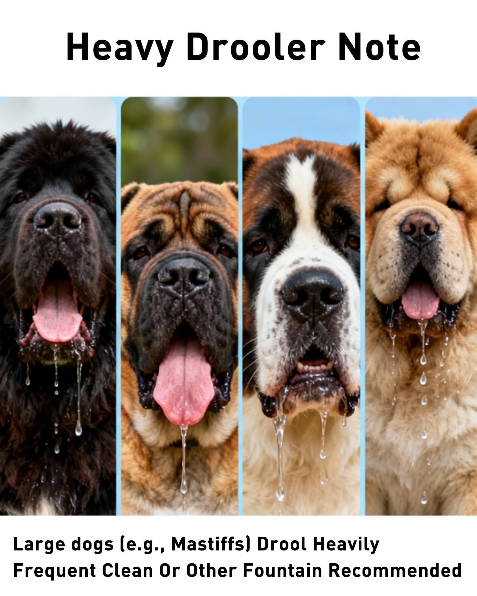 PETNF multi-pet hydration in indoor spaces supports easy access