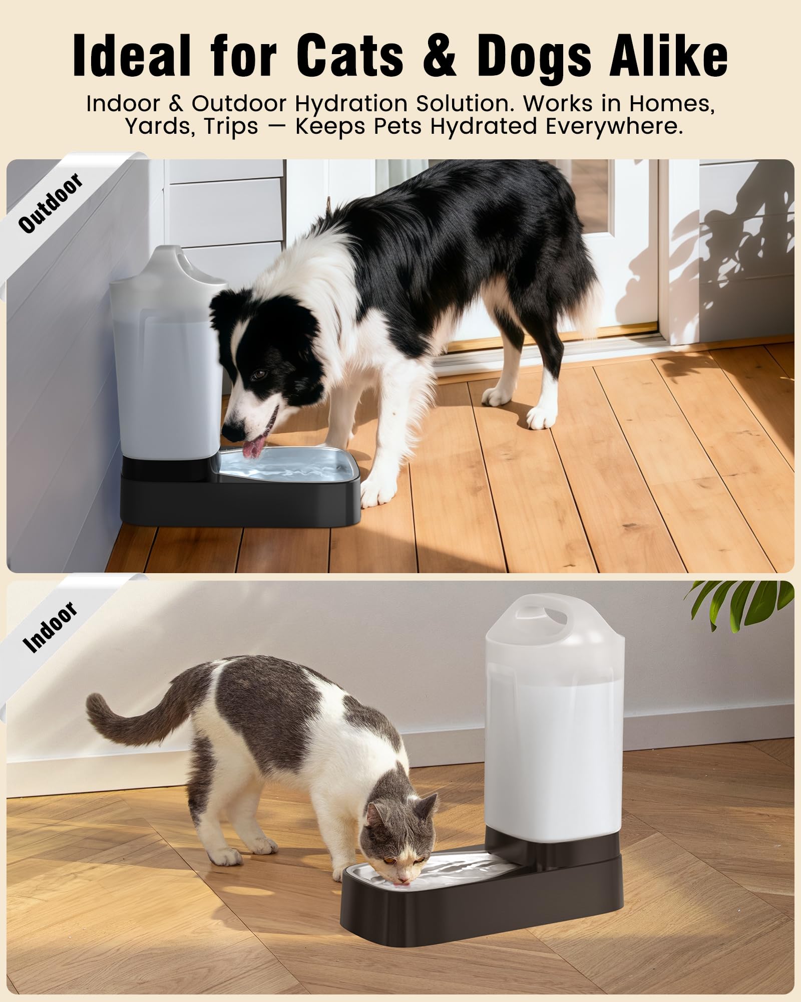 PETNF quiet dispenser creates a calm drinking environment for pets