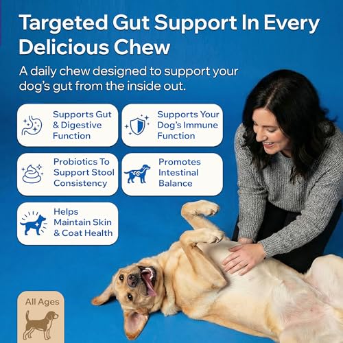 PETOPTIMUM dog-probiotic-chews-treats in bowl promoting friendly digestion