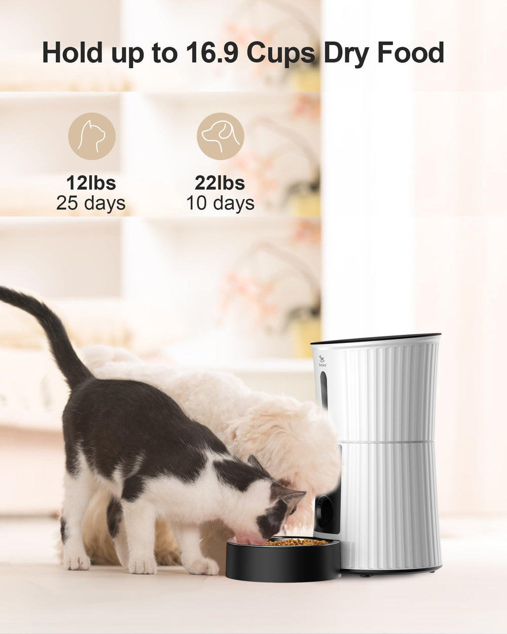 Petory backup-power image demonstrates uninterrupted feeding during outages.
