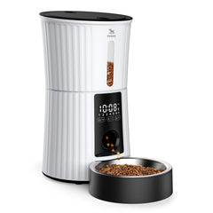 Petory Timed Feeder 4L Storage shows airtight design for fresh meals and mess-free feeding.