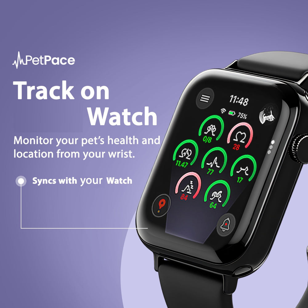 PetPace V3 battery life indicator up to three weeks