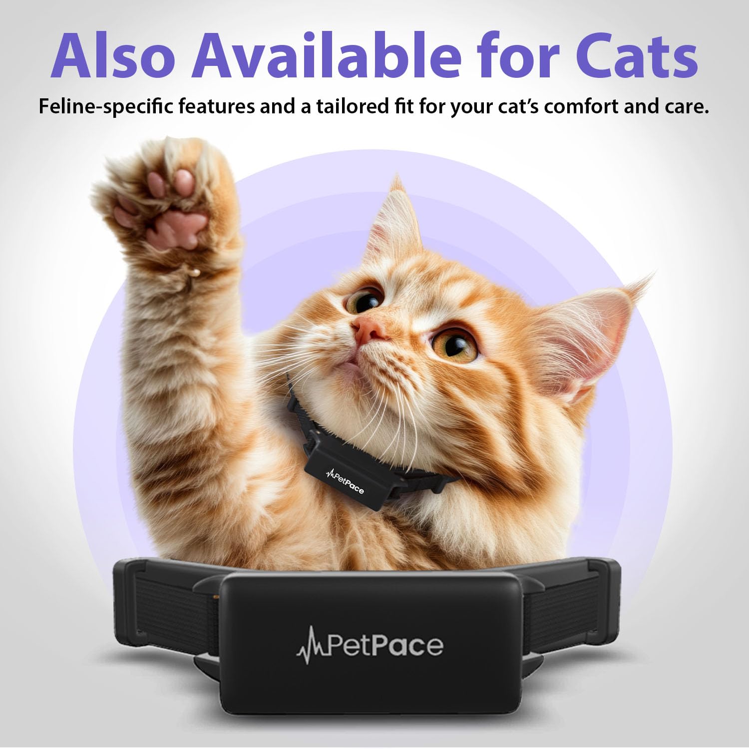 PetPace V3 adjustable collar sizes from small to large for fit