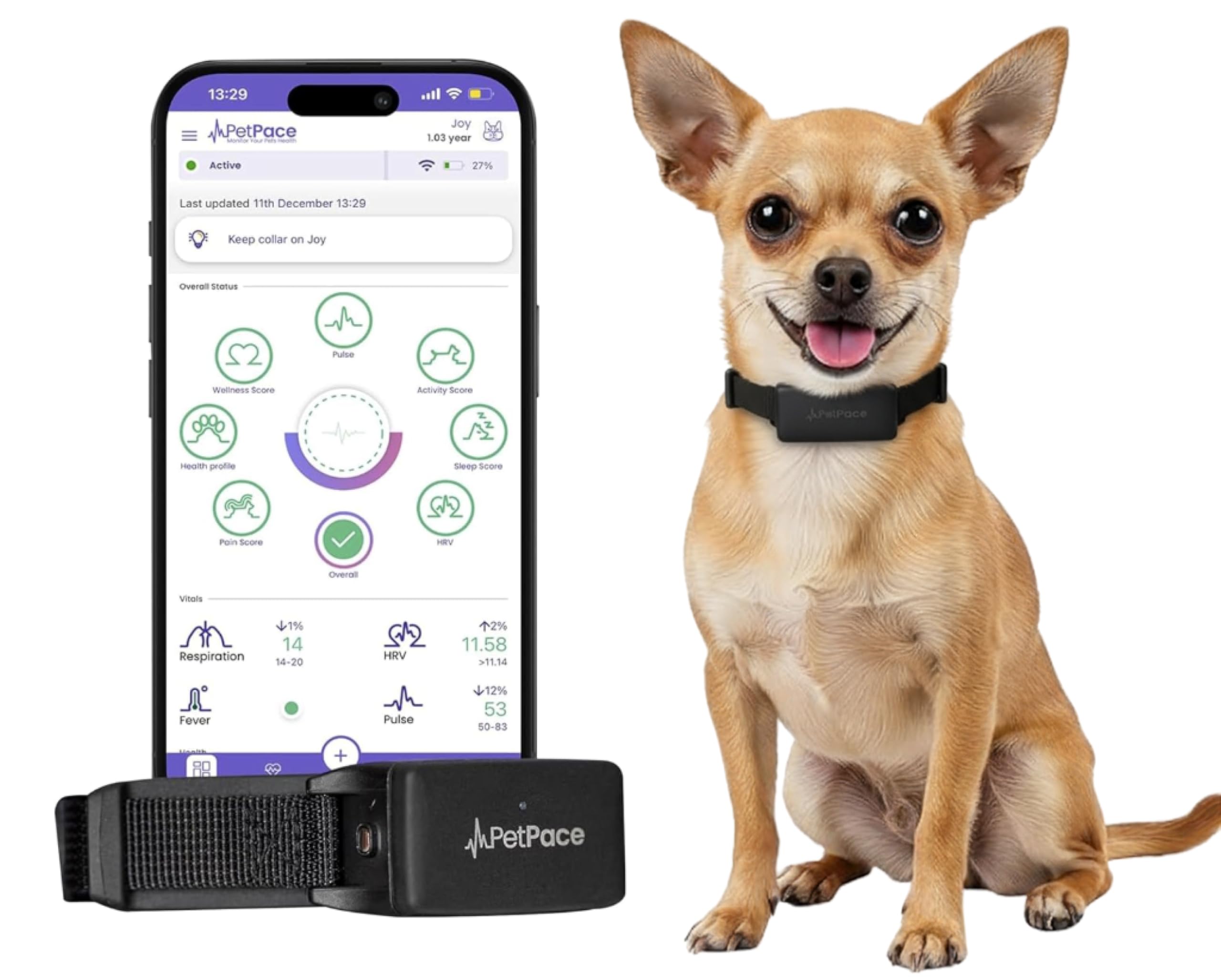 PetPace V3 dog health monitor collar closeup showing vital signs tracking