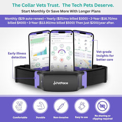 PetPace V3 heart rate and breathing graph for health trends