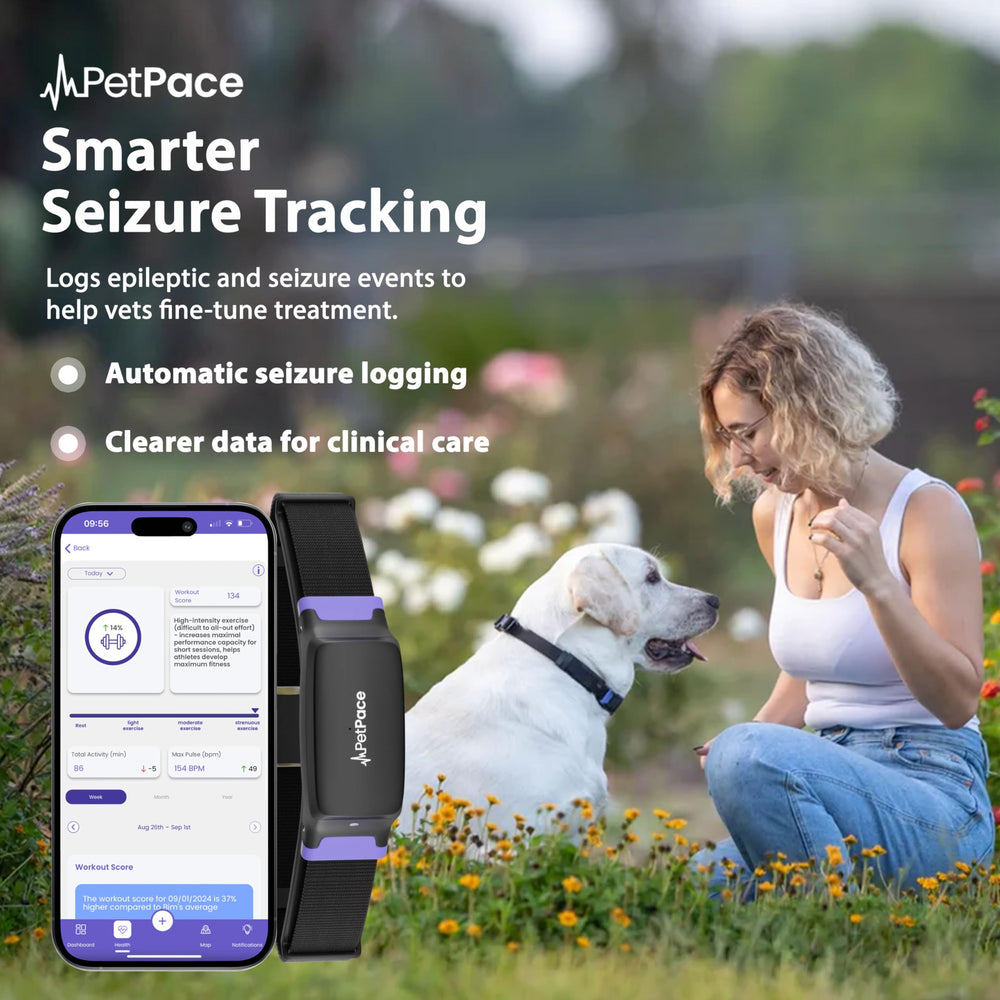 PetPace V3 sleep and activity tracker highlighting daily patterns