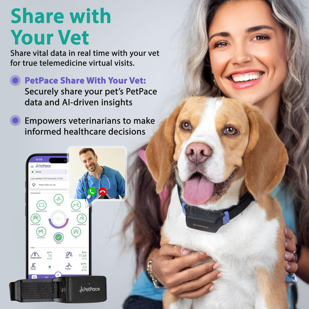 PetPace V3 waterproof IP68 collar in rugged use