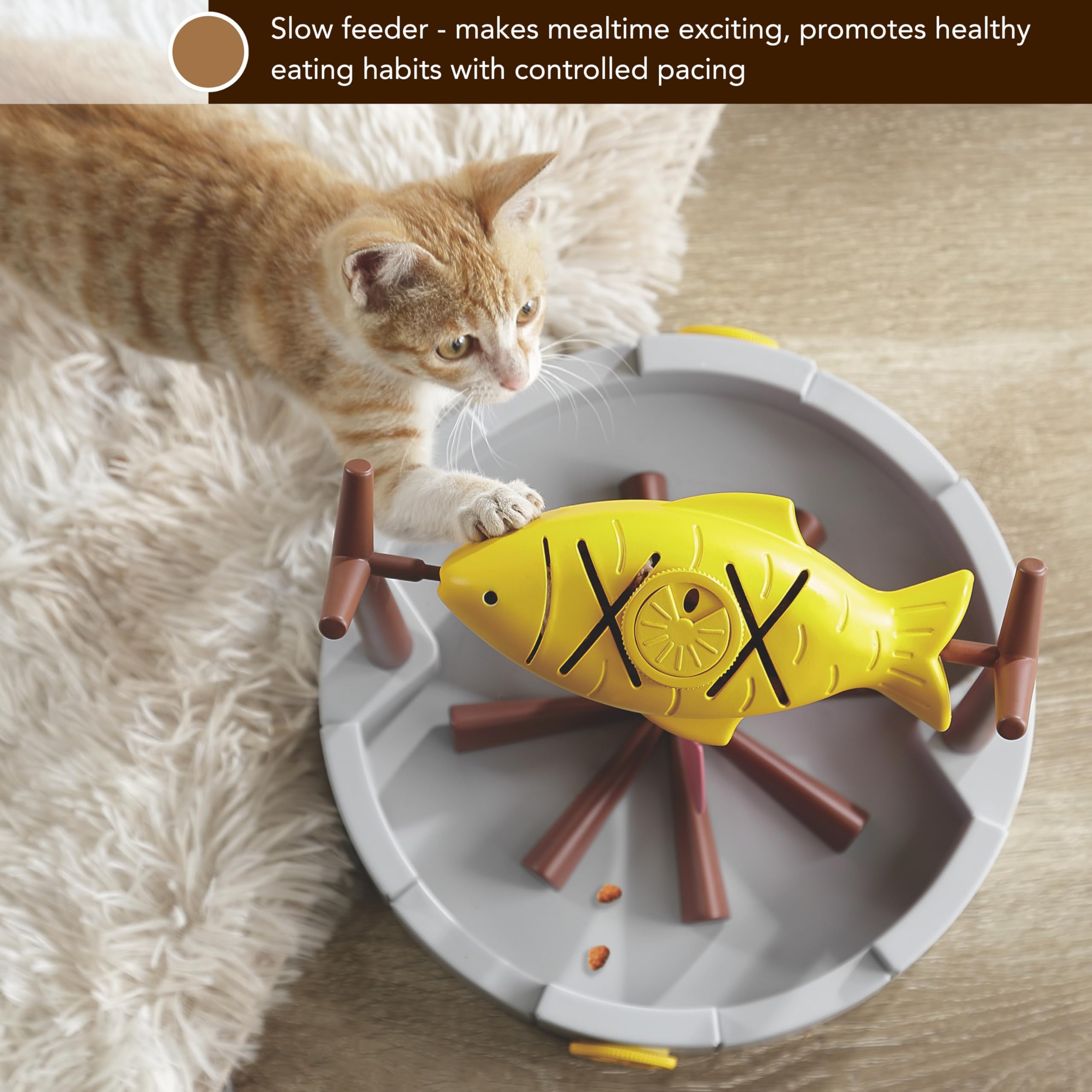 PetPals pace-controlled feeder helps promote mindful eating and fun.