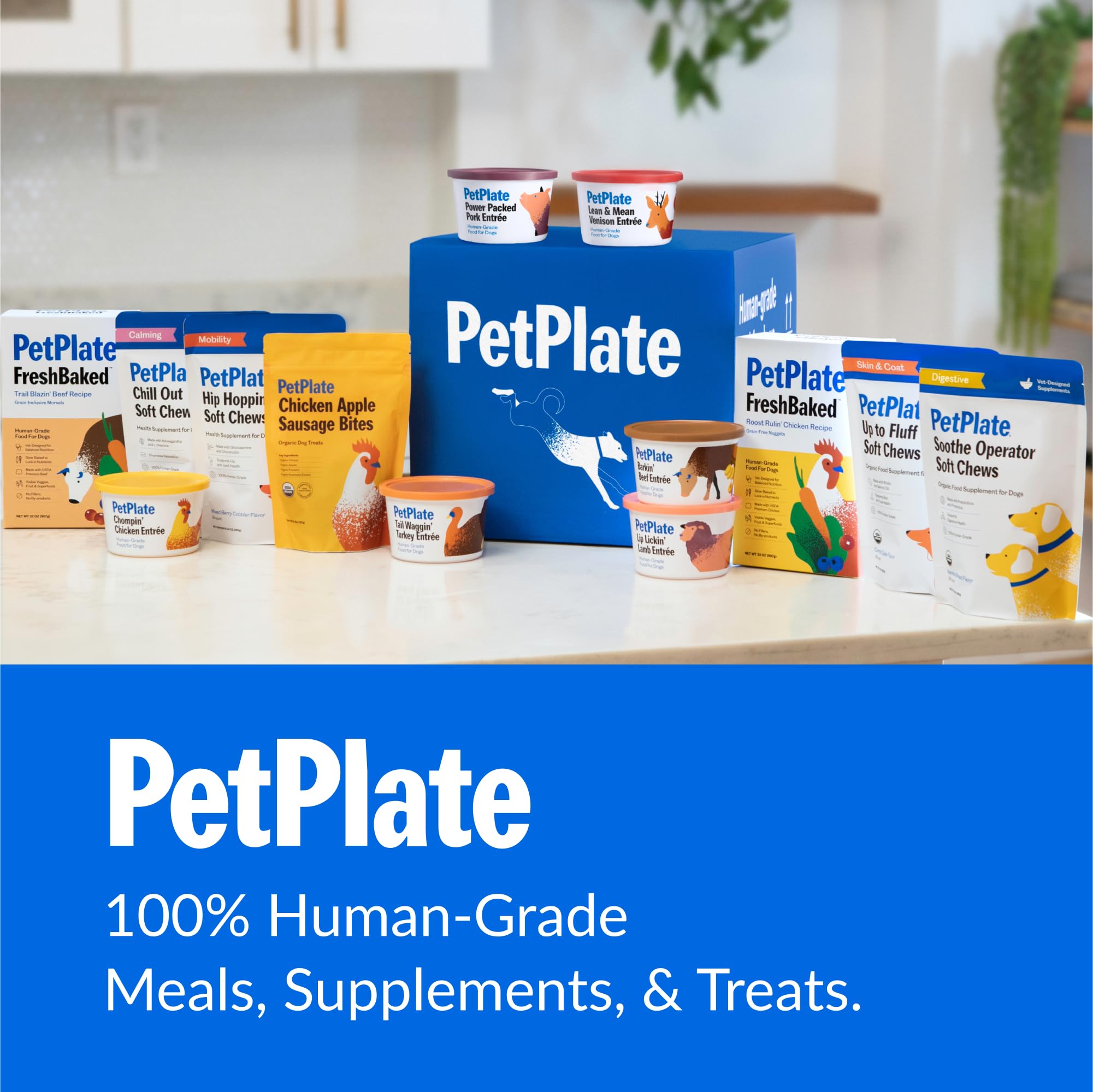 PetPlate dogs happily enjoying chews illustrates practical daily digestion routine.