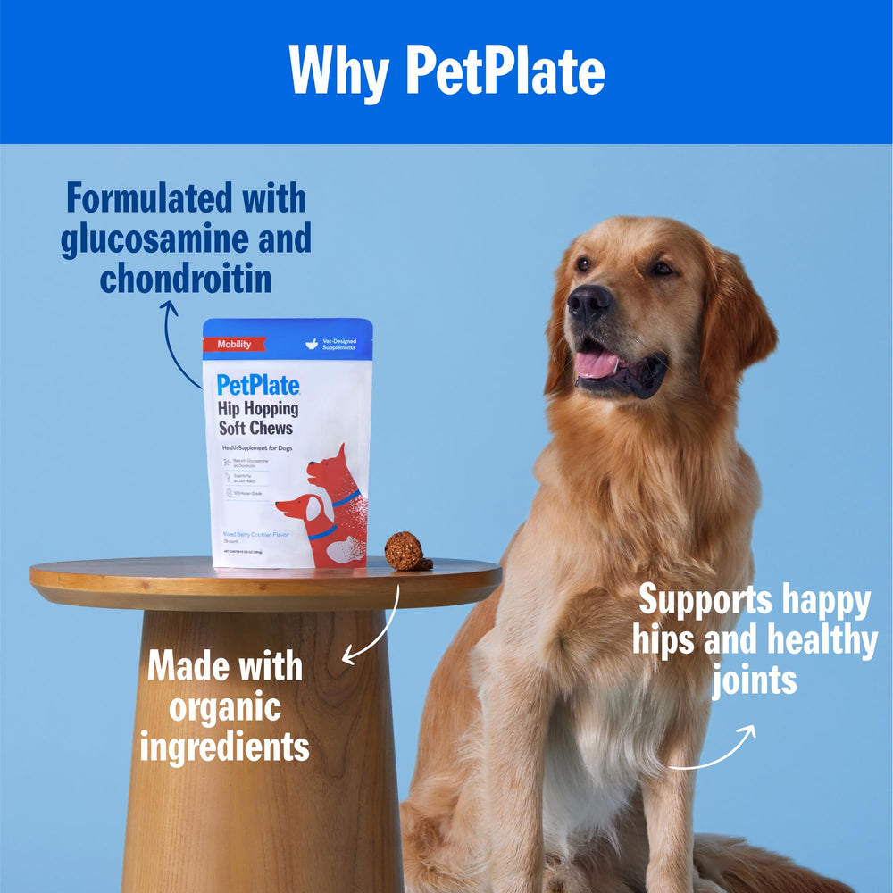 PetPlate Hip Hopping Soft Chews close-up texture shows berry cobbler flavor