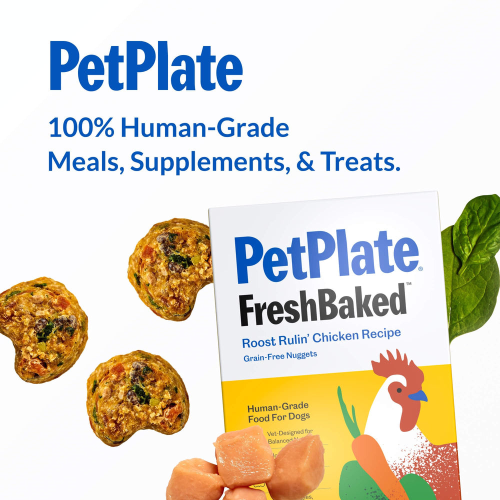 PetPlate Roost Rulin' Chicken chew-nuggets encourage mindful eating and tasty rewards.