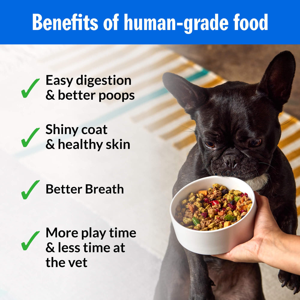 PetPlate Roost Rulin' Chicken fruit and veggie colors highlight natural nutrition for your dog.