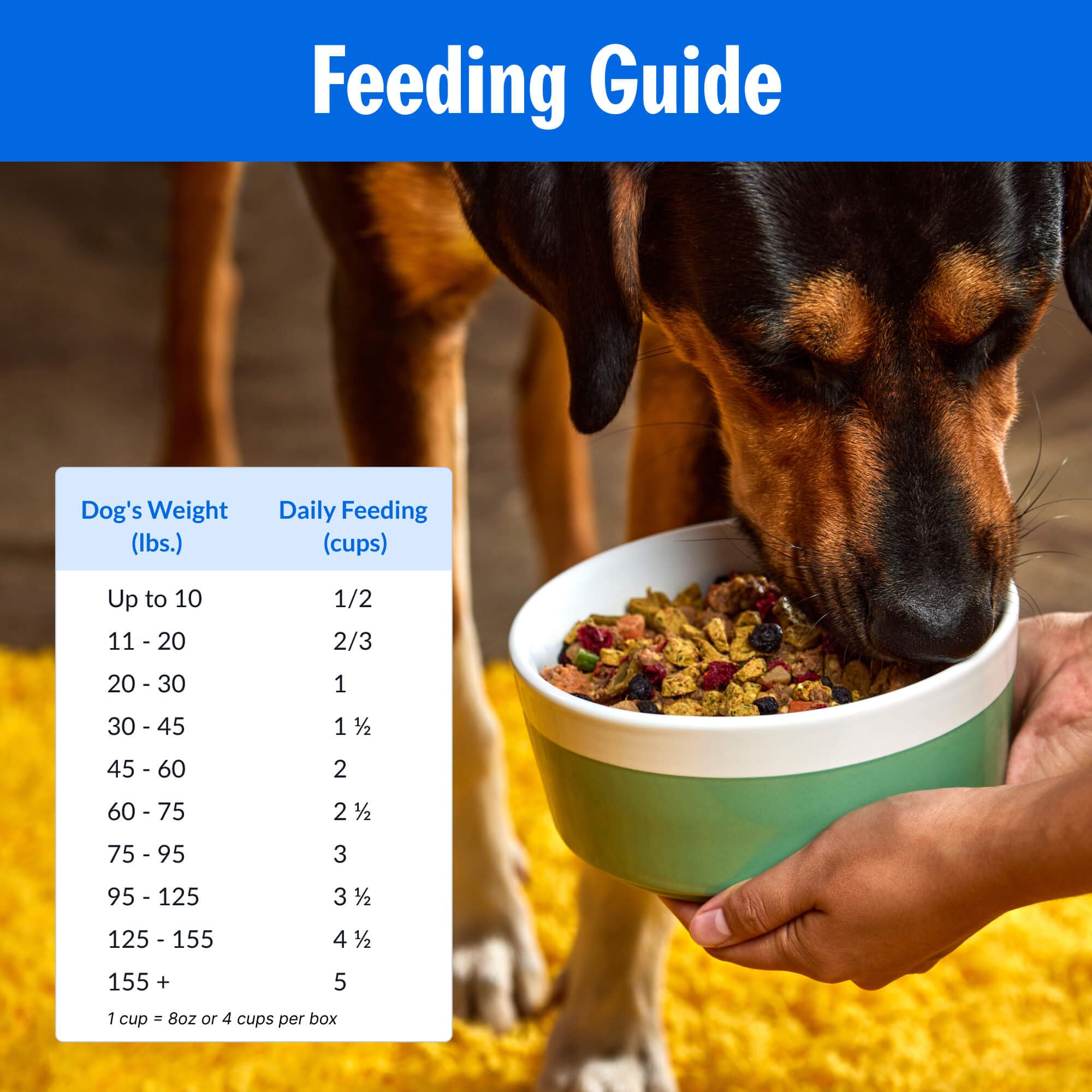 PetPlate Roost Rulin' Chicken dish ready-serve promotes easy and enjoyable mealtime routines.