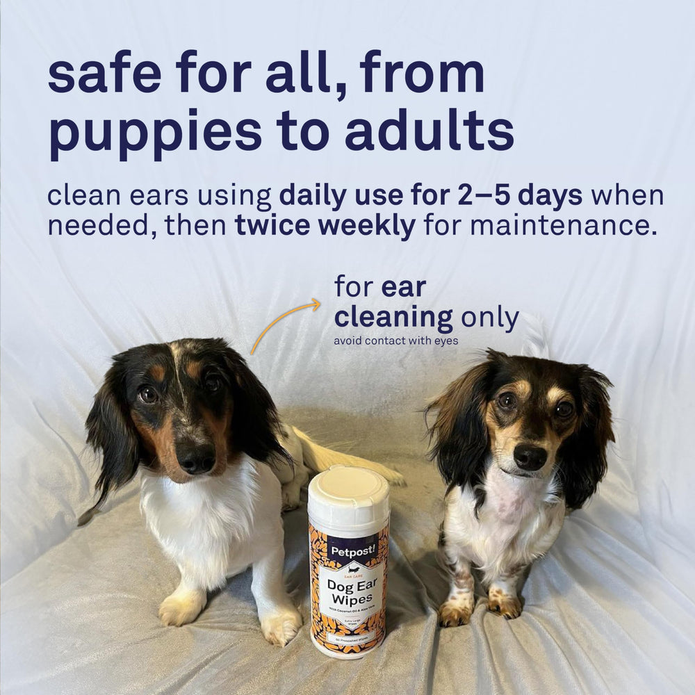 Petpost wipes laid out for simple, mess-free ear maintenance when needed.
