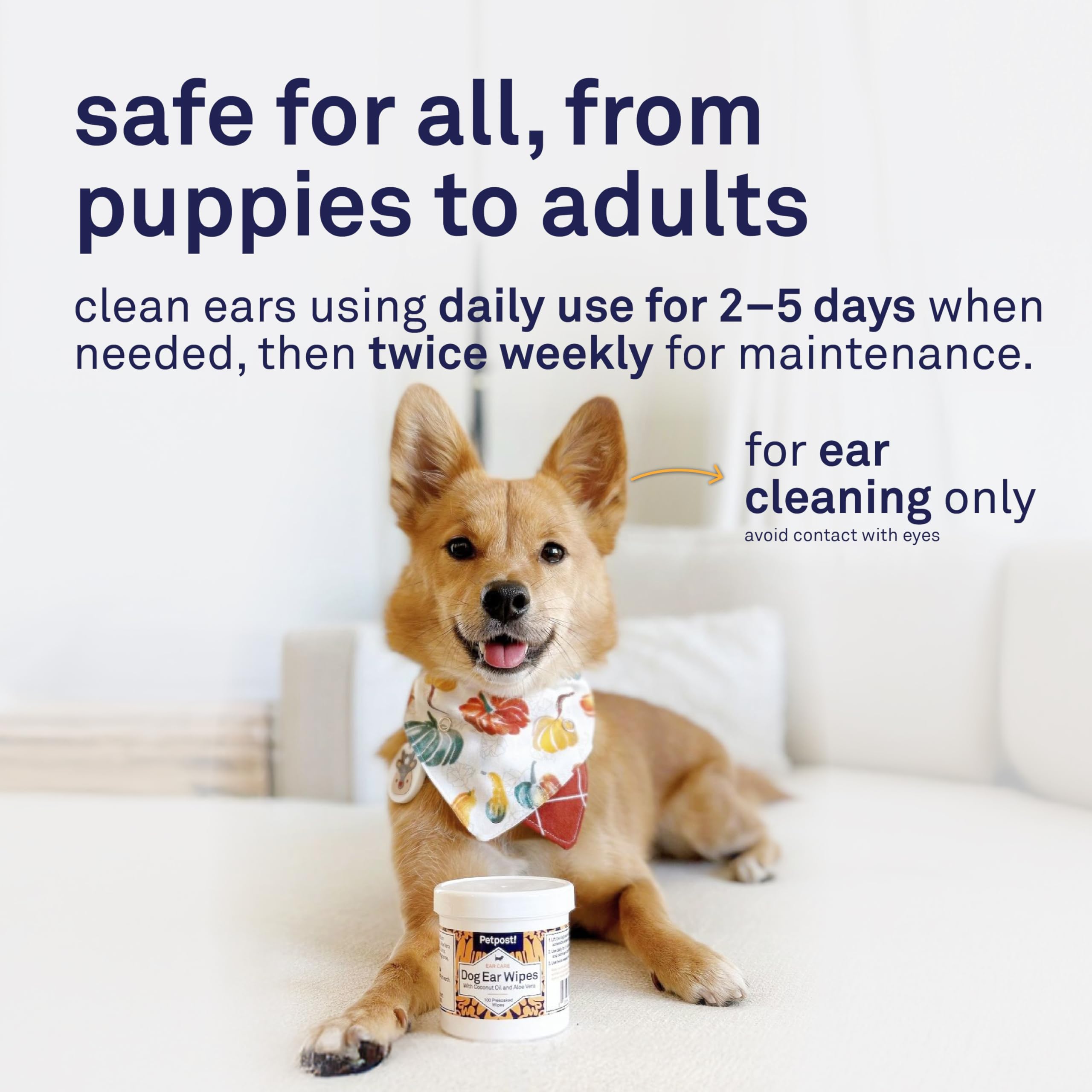 Petpost environmentally friendly packaging highlights recyclable materials