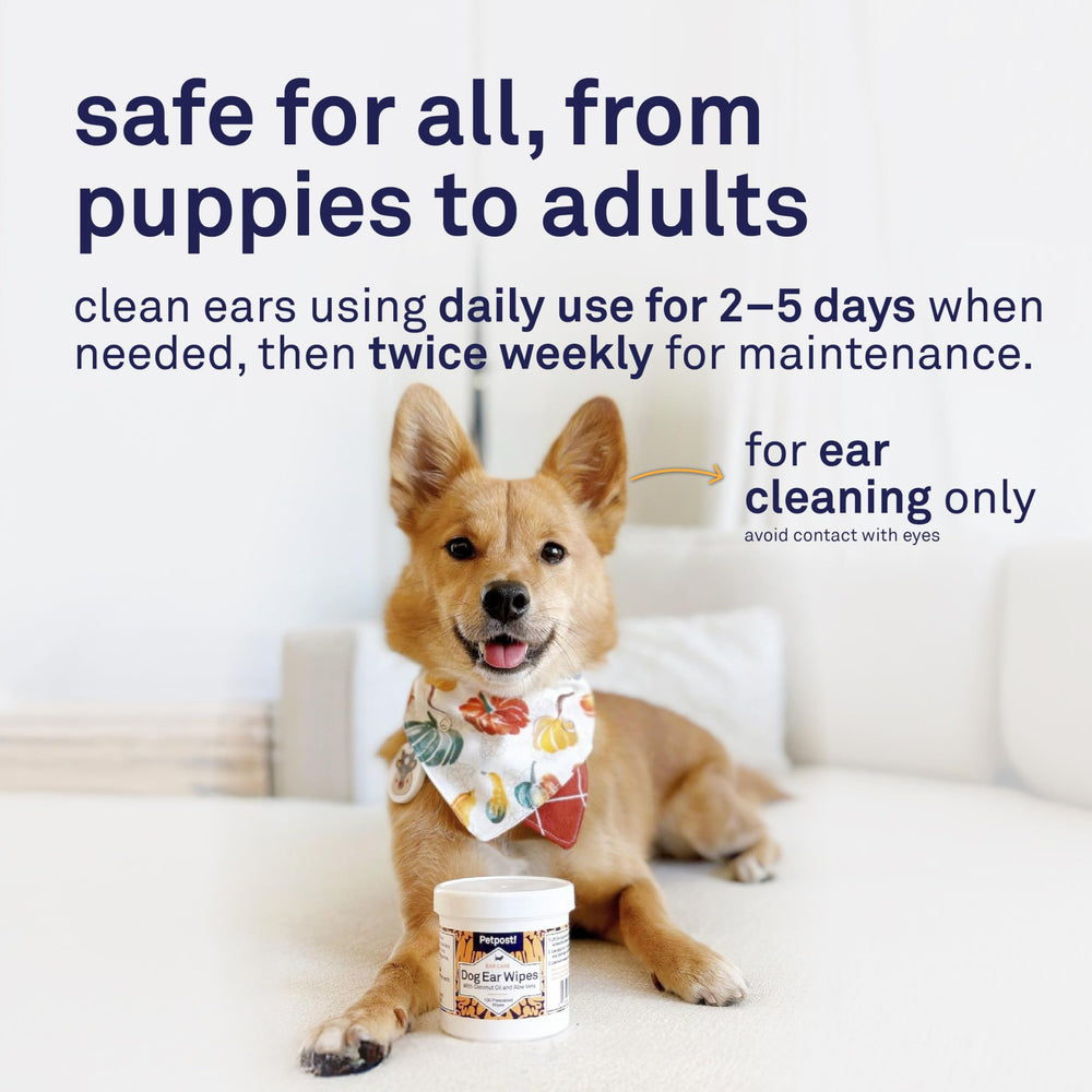 Petpost environmentally friendly packaging highlights recyclable materials
