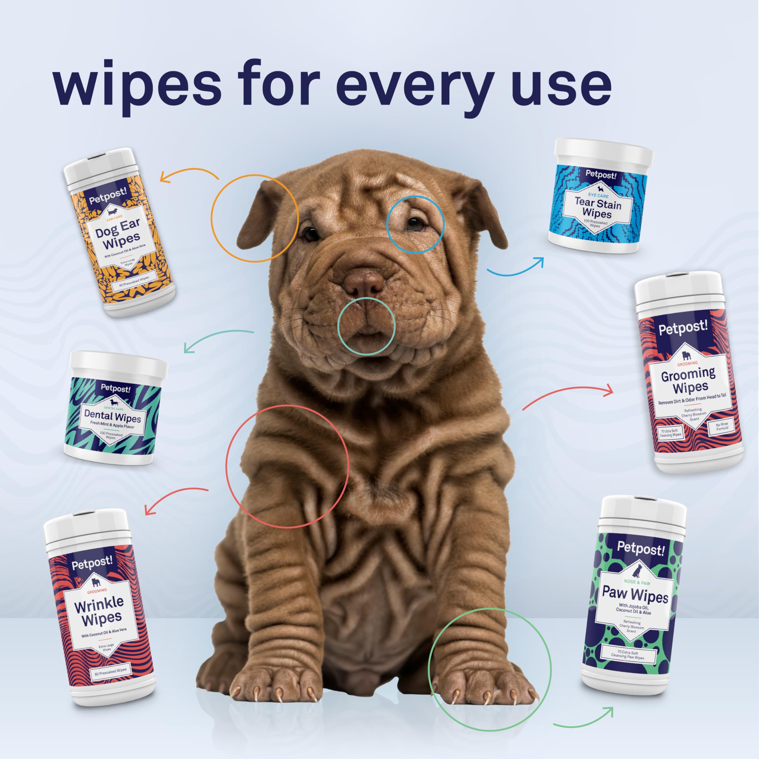 Petpost Happy dog after cleaning showing comfortable, content expression