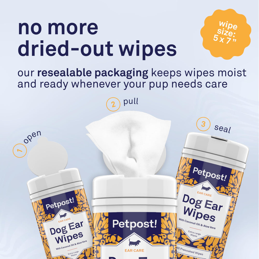 Petpost happy dog during ear cleaning moment indicating a calm routine.