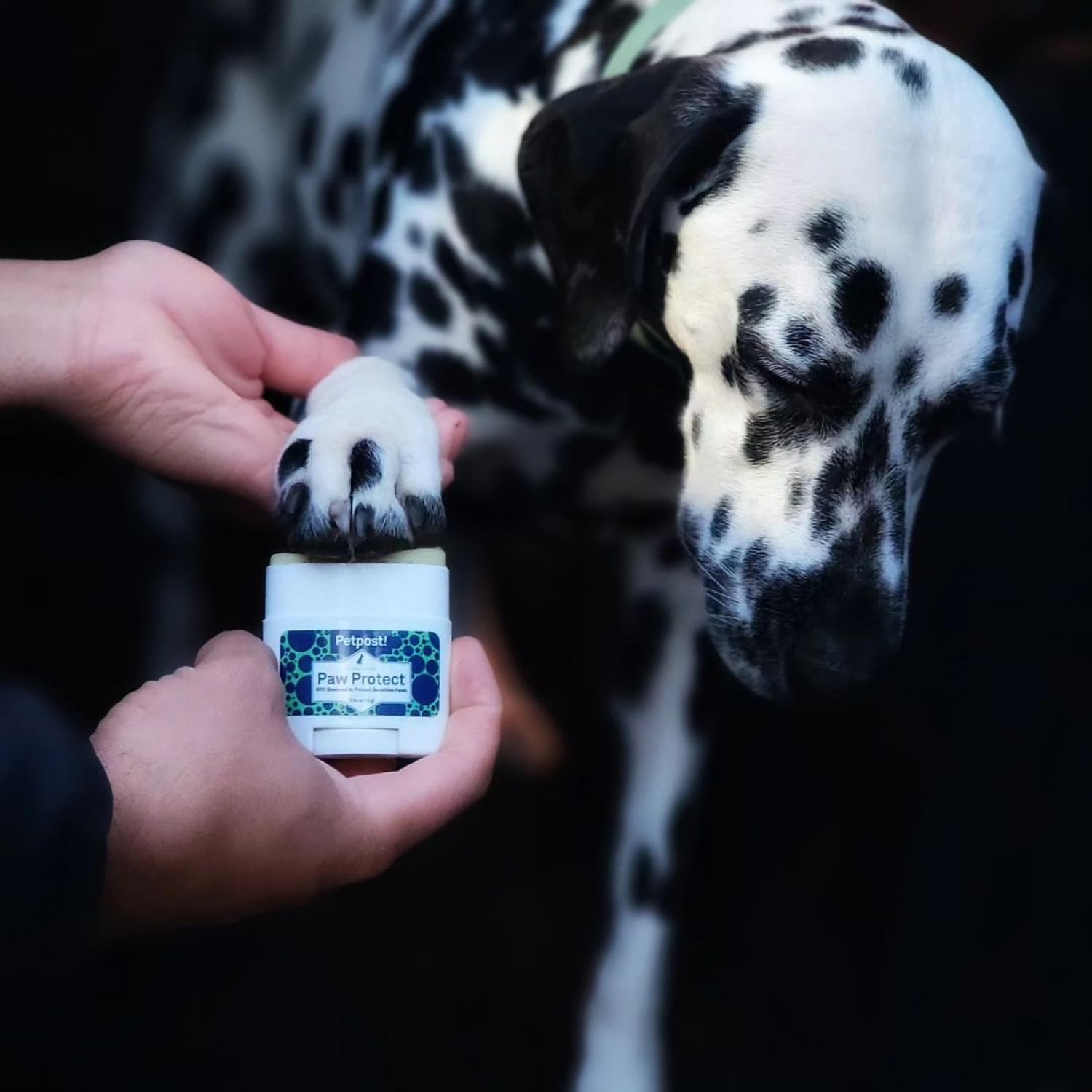 Petpost paw protection balm in a compact applicator travels easily after car rides or park outings.