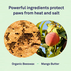 Petpost paw protection balm creates a protective barrier against heat, ice, and salt.