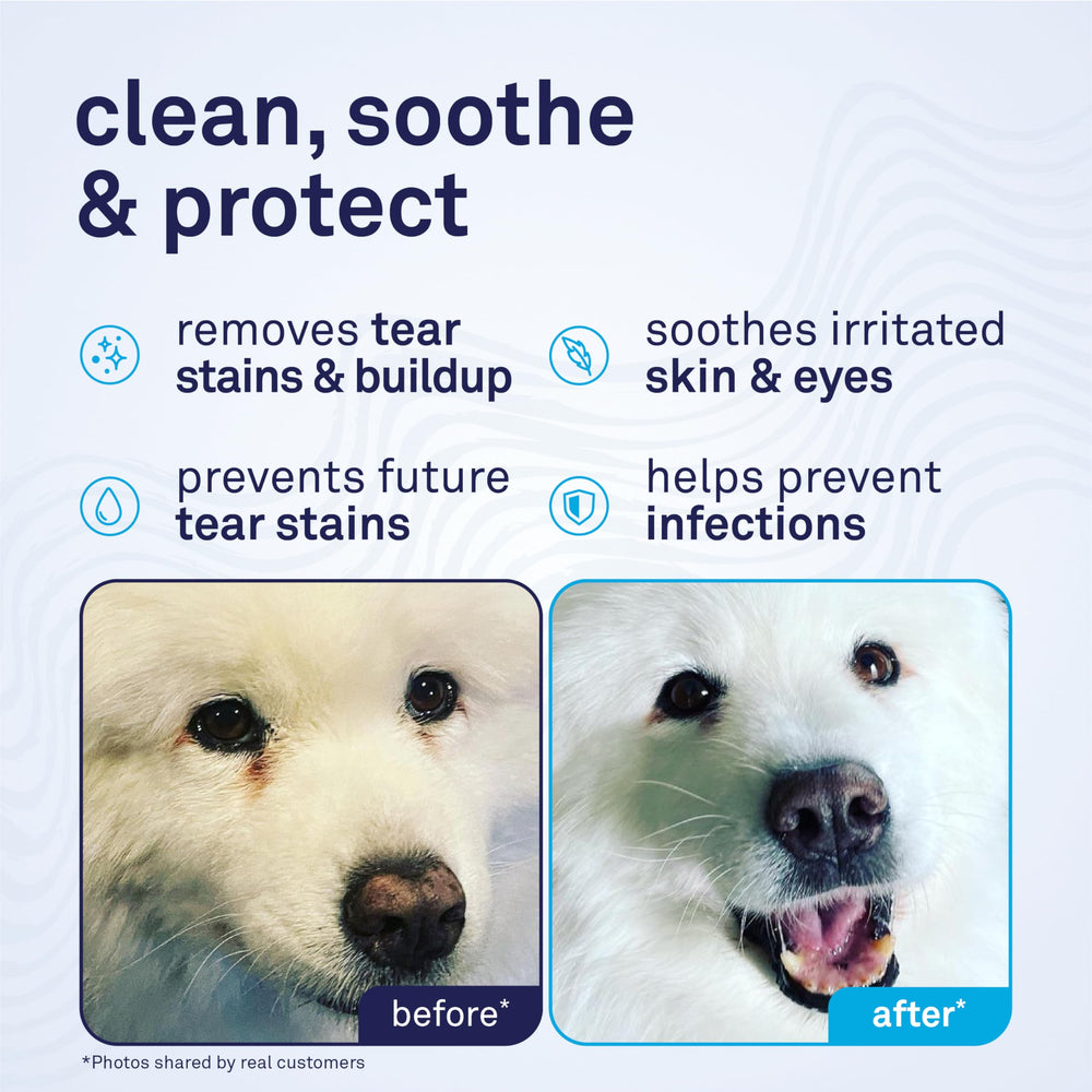 Petpost Tear Stain Remover Wipes dog face area closeup demonstrates gentle, precise cleaning.