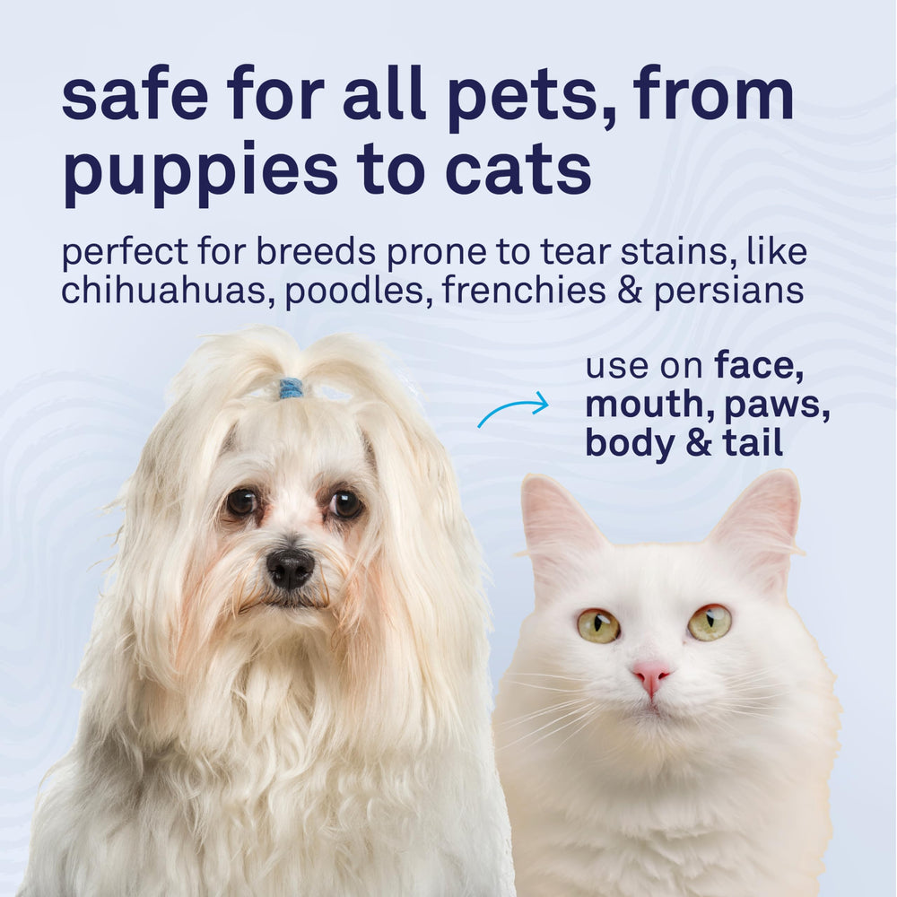 Petpost Tear Stain Remover Wipes made in USA with recyclable packaging.